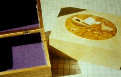 24 x 16 x 9 cm