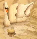 Extrait du motif Cygnes sur des Face  main