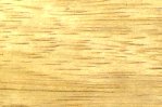 Limba